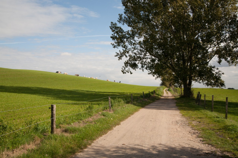 plüsch74 modernes haus berlin brandenburg landschaft bauernhaus natur see vermietung scout film foto location18