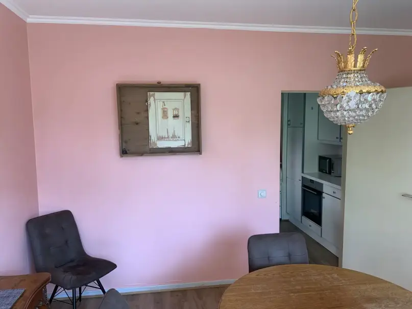 plush74 modern living room with pink walls 11