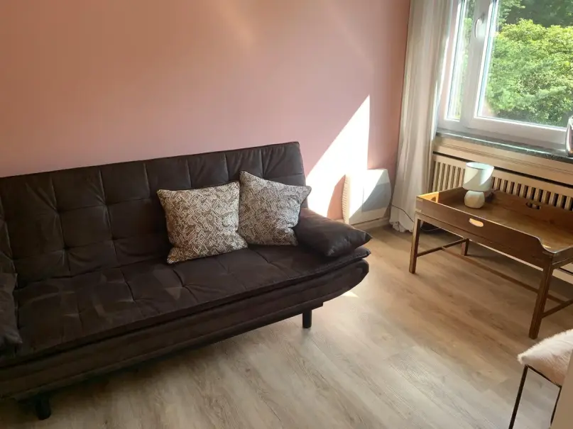 plush74 modern living room with pink walls 9