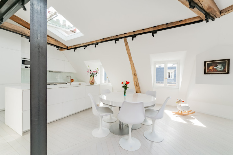 plush74 modernes paris penthouse 3(1)