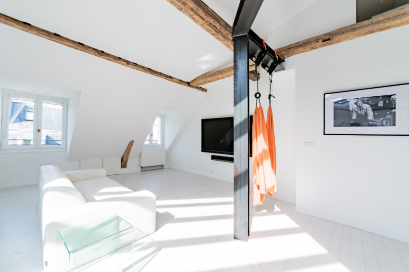 plush74 modernes paris penthouse 6(1)