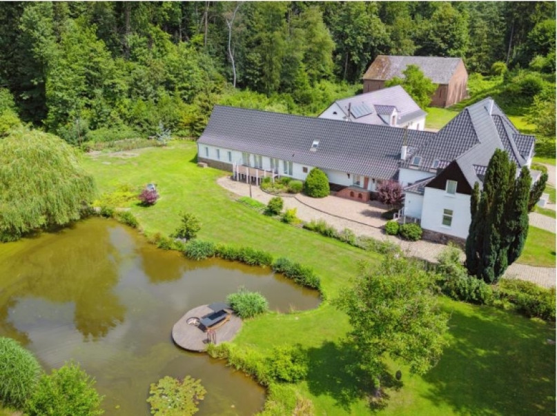 plush74 modern villa with pond 3