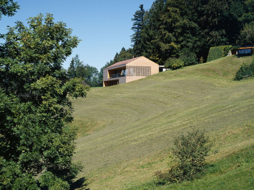 felpa74 montaña 3