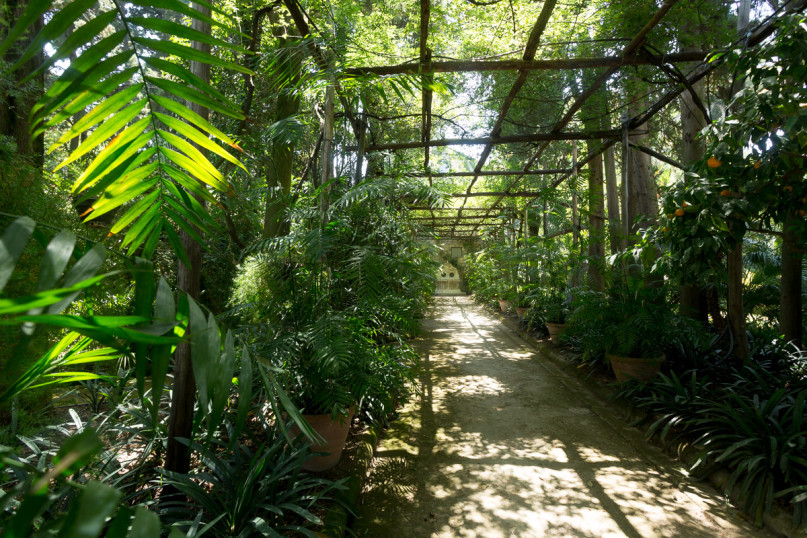 plush74 napoli villa garten 3