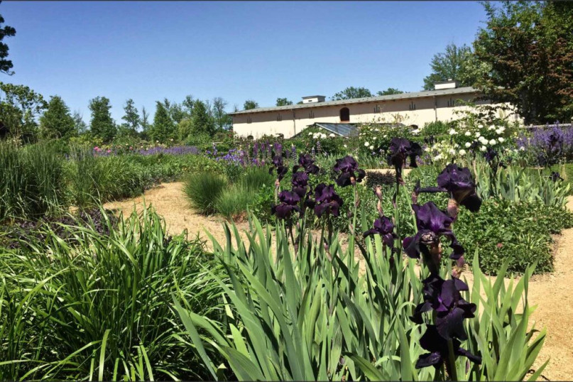 pluche74 natuur landgoed buiten berlijn 18