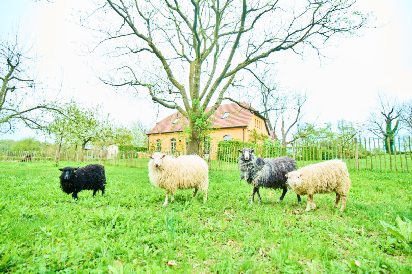 pluche74 natuur landgoed buiten berlijn 29
