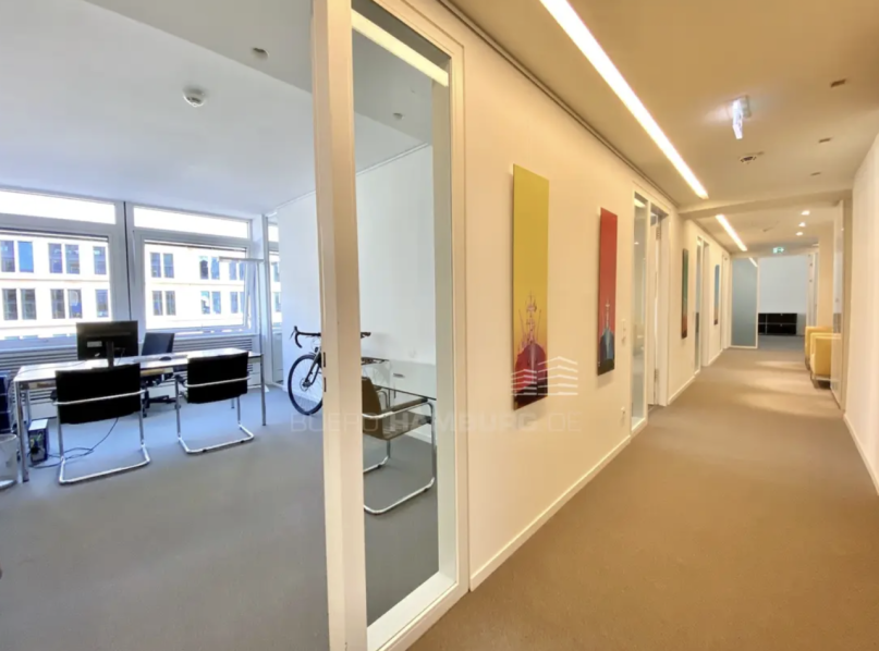 felpa74 neuer muro ii 1 (2)