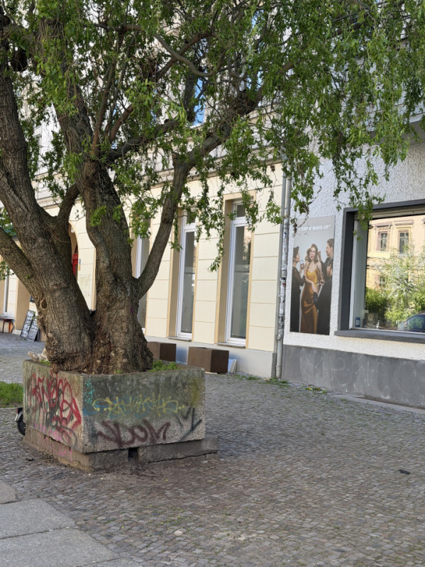 plush74 oderbergerstrasse 72