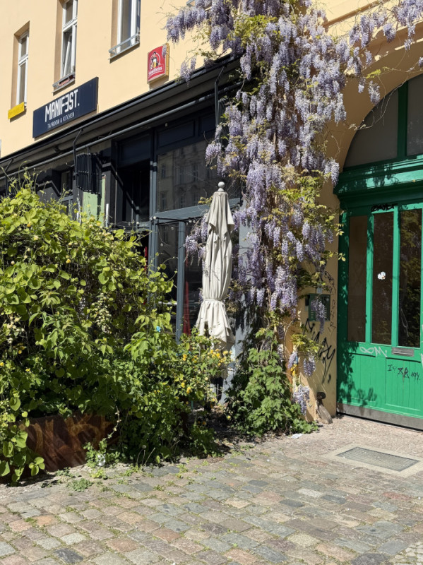 plush74 oderbergerstrasse 79