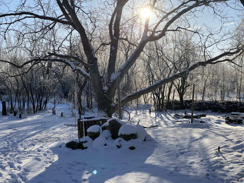 peluche74 vecchia stalla brandenburg 23