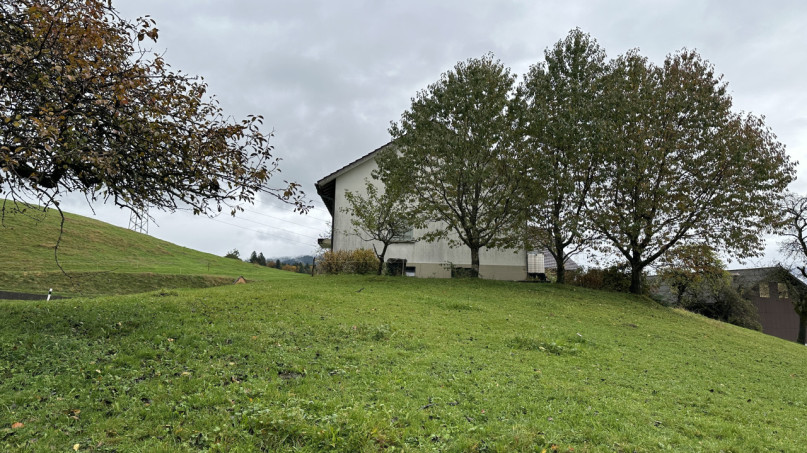 plush74 peters house gebertingen 14