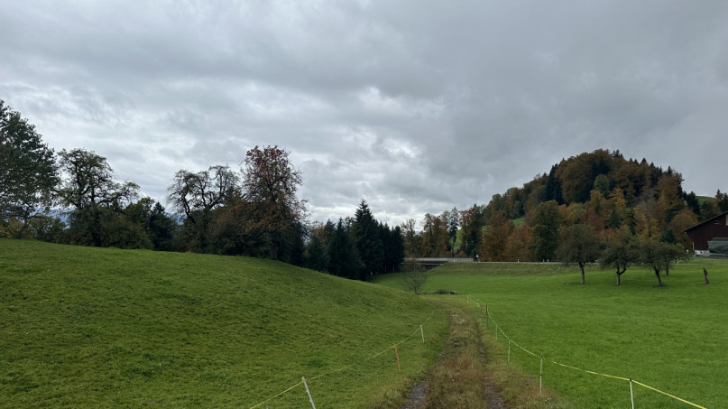 plush74 peters house gebertingen 7 (1)