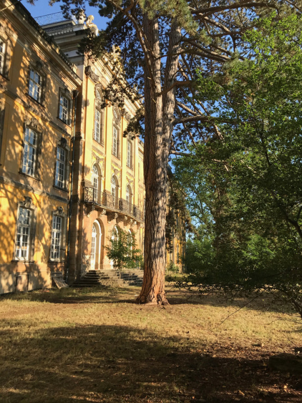 plush74 photo film event location gommern germany castle 17
