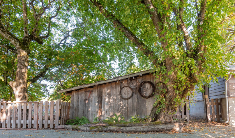 felpa74 película fotográfica lugar del evento isla de vancouver granja casa particular duncan 46