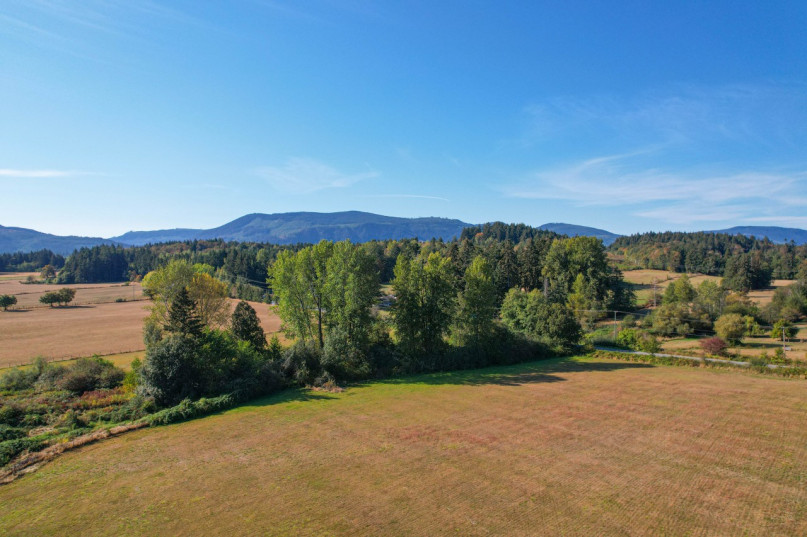 peluche74 película fotográfica lugar del evento isla de vancouver granja casa particular duncan 58