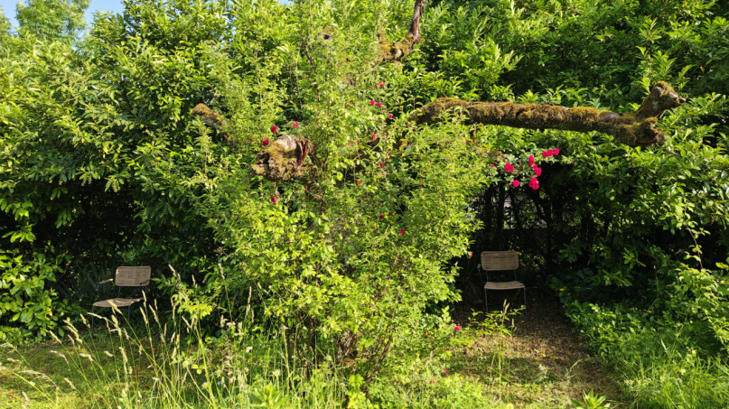 plush74 private garden in aargau 4