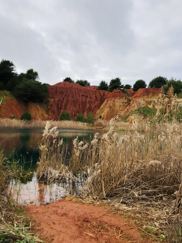 felpa74 cantera roja 2