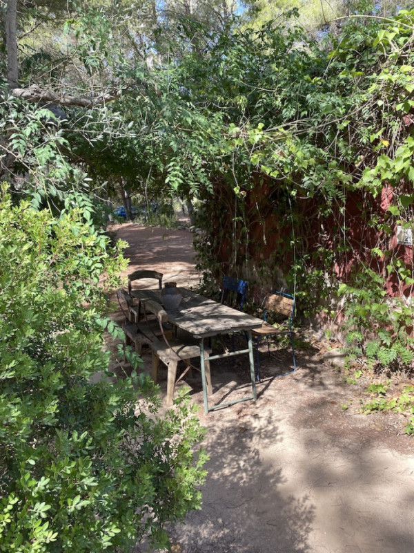 plush74 rental photo film event villa spain ibiza countryside00018