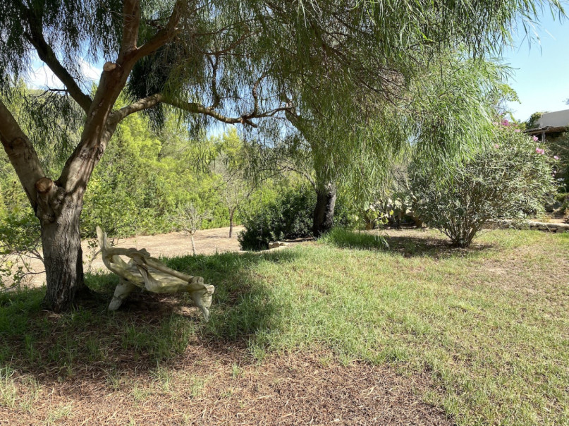 plush74 rental photo film event villa spain ibiza countryside00019