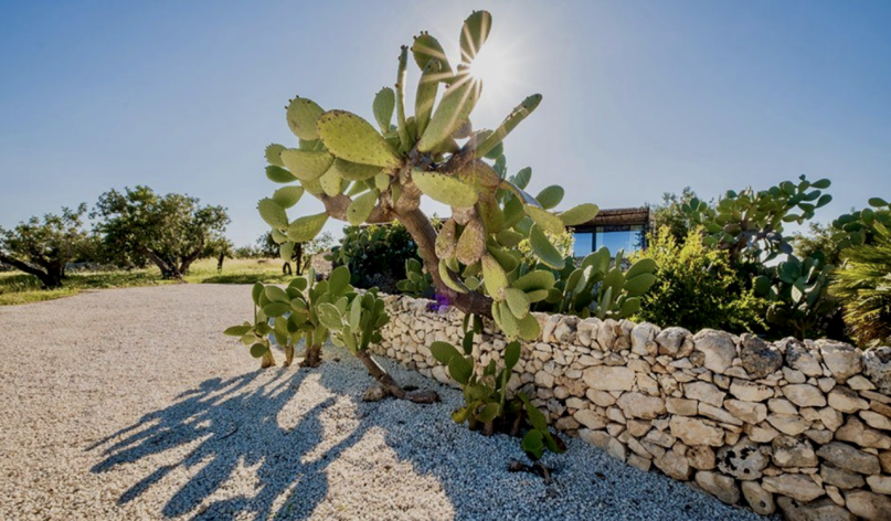 plush74 rental photo film production farmhouse italy sicily00008