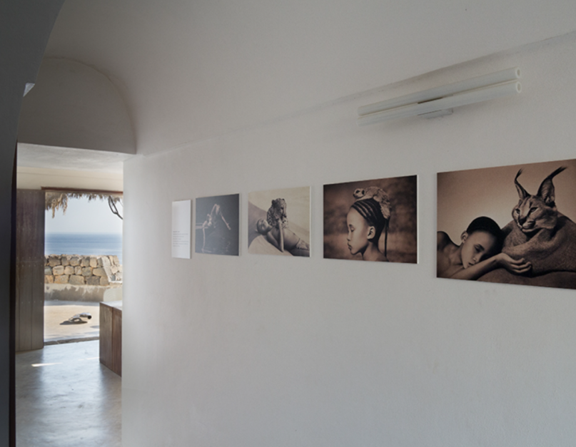 plush74 rental photo film production house italy nika00009