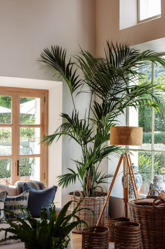 plush74 rental photo film production villa farmhouse mallorca00043