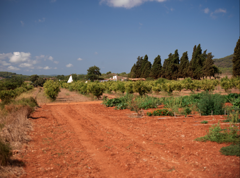 pluche74 verhuur producties locaiton foto film boerderij ibiza spanje00016