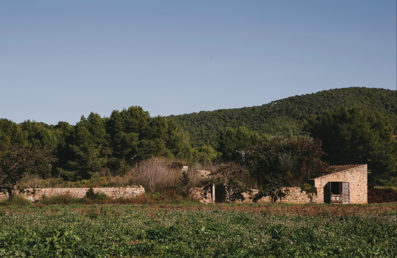 pluche74 verhuur producties locaiton foto film boerderij ibiza spanje00033