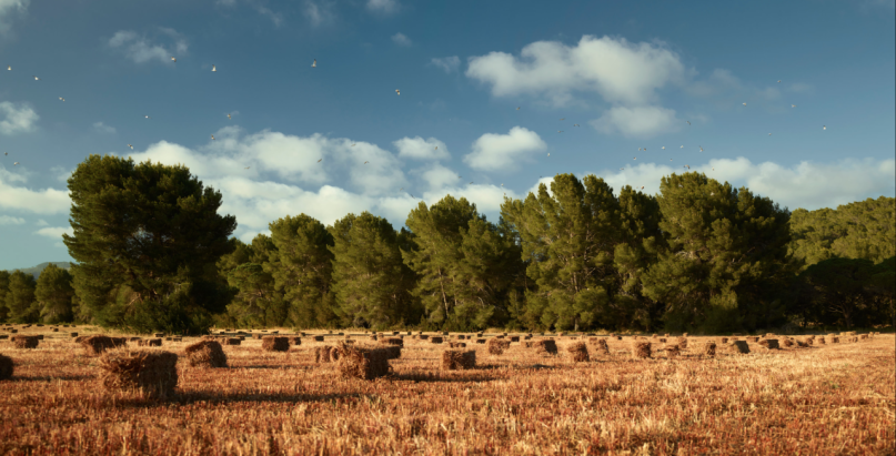 pluche74 verhuur producties locaiton foto film boerderij ibiza spanje00040