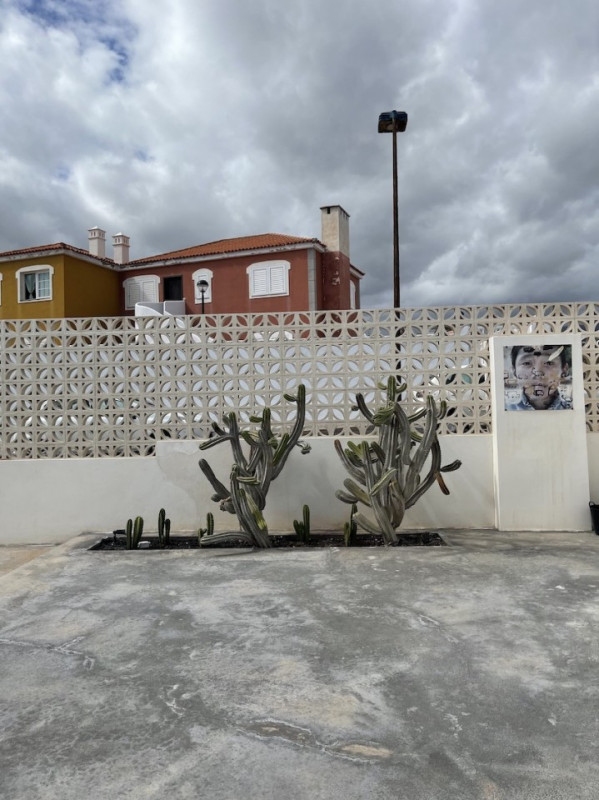 plush74 felsiges Strandhaus Teneriffa 25 (1)