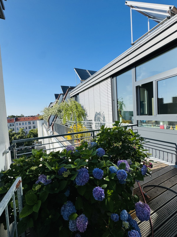 appartamento plush74 rooftop garden 33