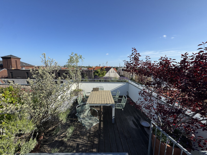 plush74 appartamento con giardino sul tetto 34 (4)