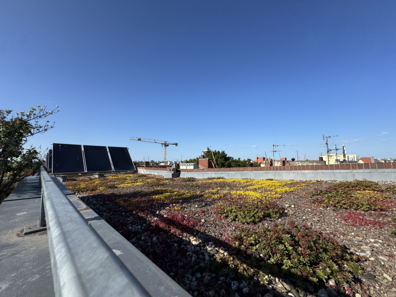 appartamento plush74 rooftop garden 34