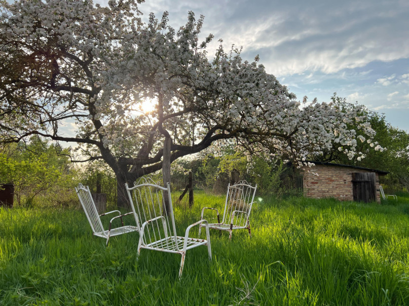 peluche74 casa di campagna rustica in uckermark 13