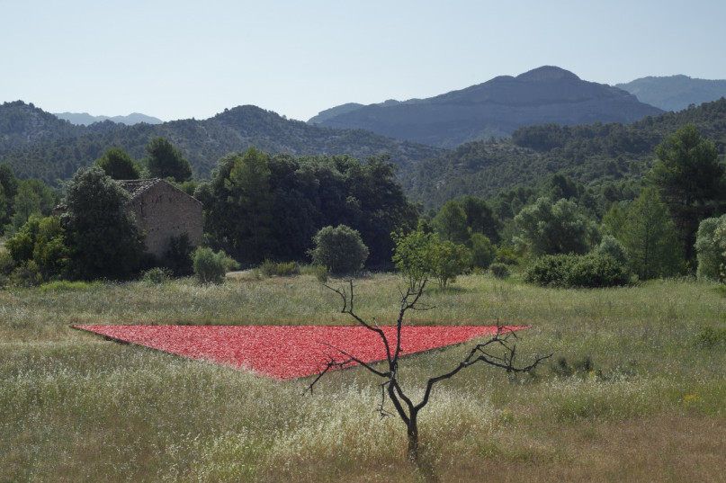 plush74 Auswahl ssgs 11