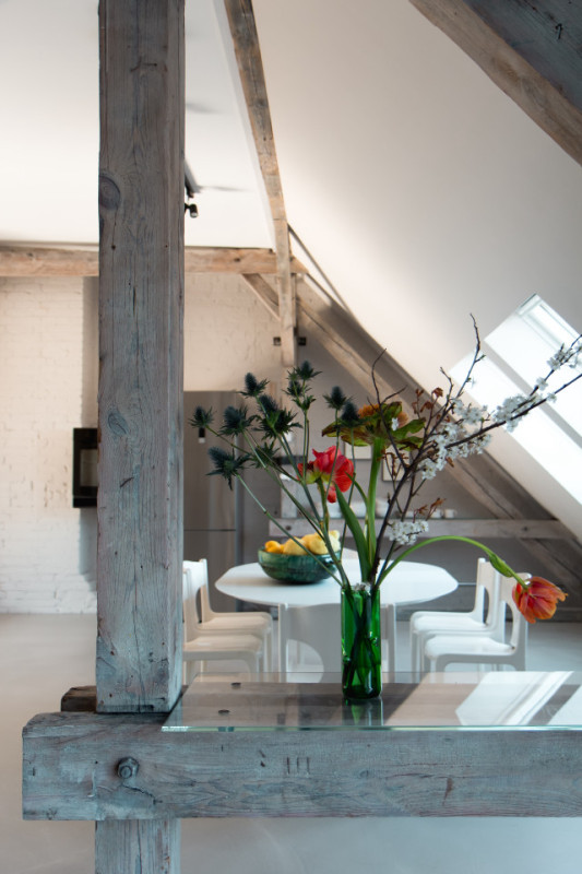 plush74 studio 541 7