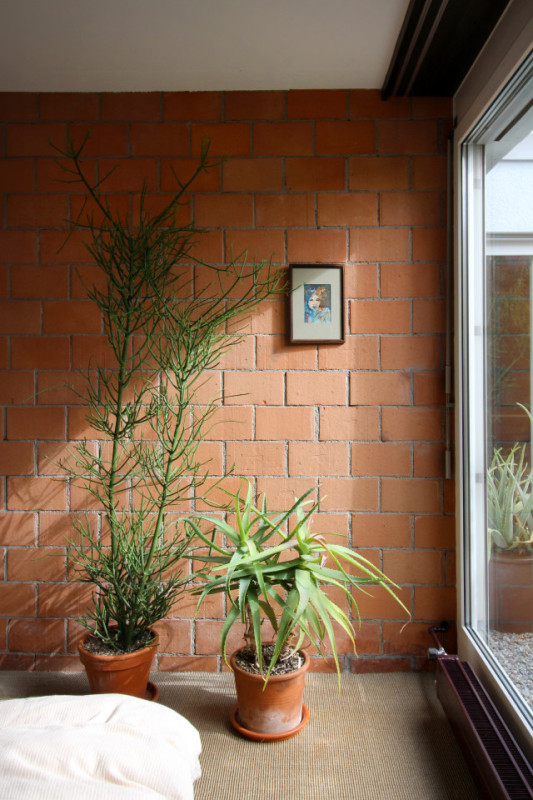 plush74 swiss design apartment 16