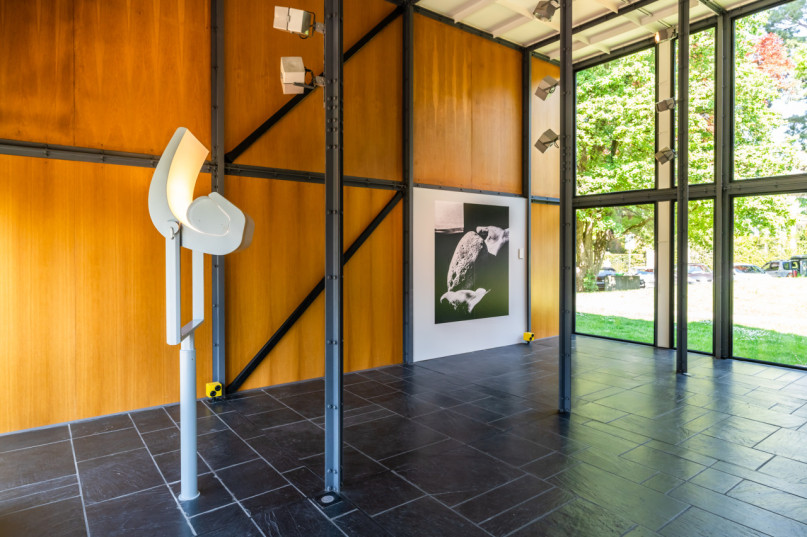 plush74 the pavillon 10(1)