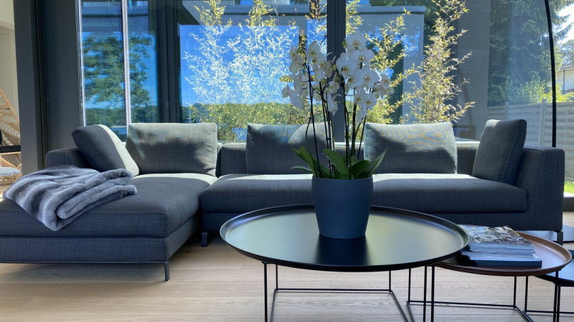 plush74 the sunlit lake house 34