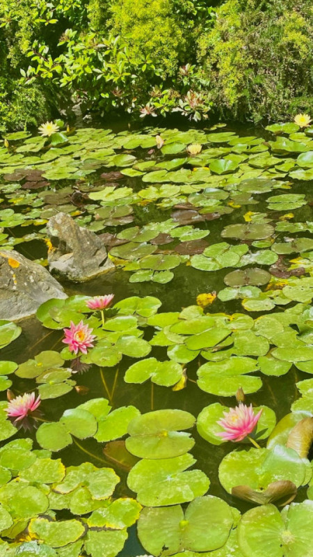 felpa74 toskana lake villa 37