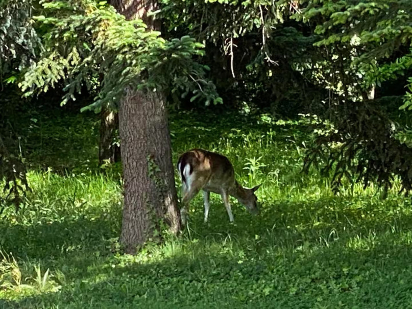 felpa74 toskana lake villa 39