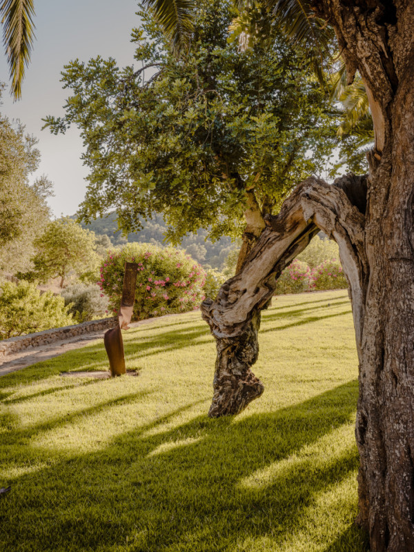 pluche74 tropische oase ibiza 38