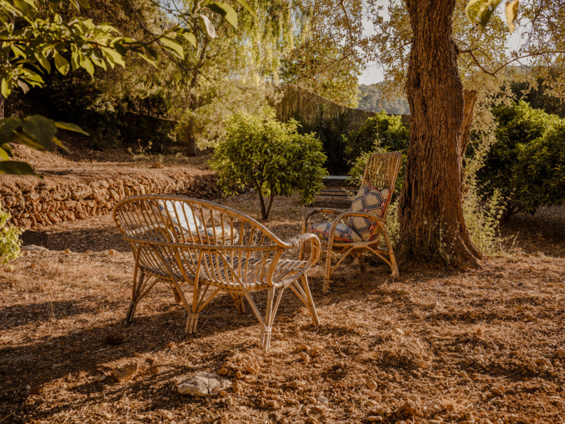 pluche74 tropische oase ibiza 45