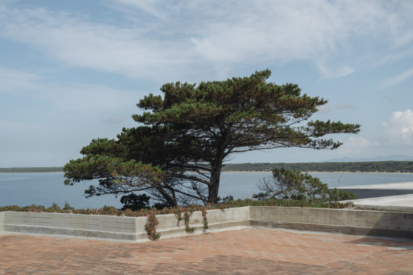 peluche74 turchese 25