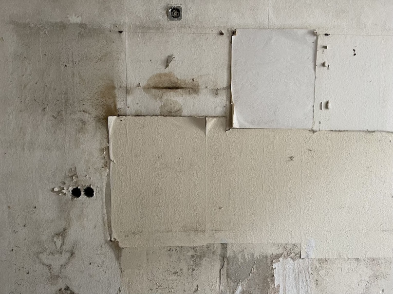 felpa74 sin renovar vacante 16