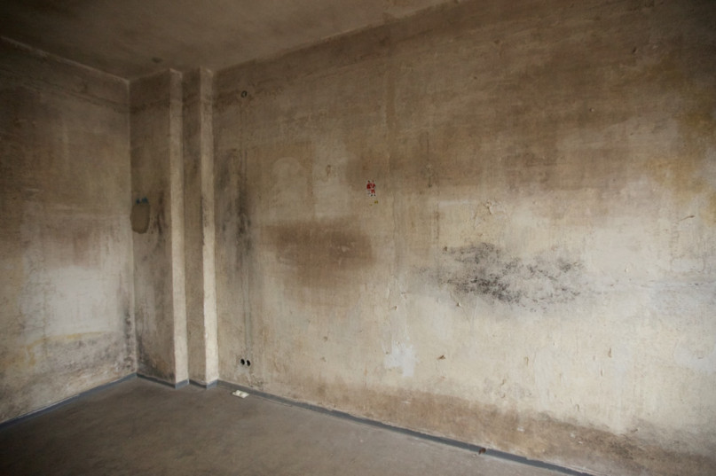 felpa74 sin renovar vacante 5