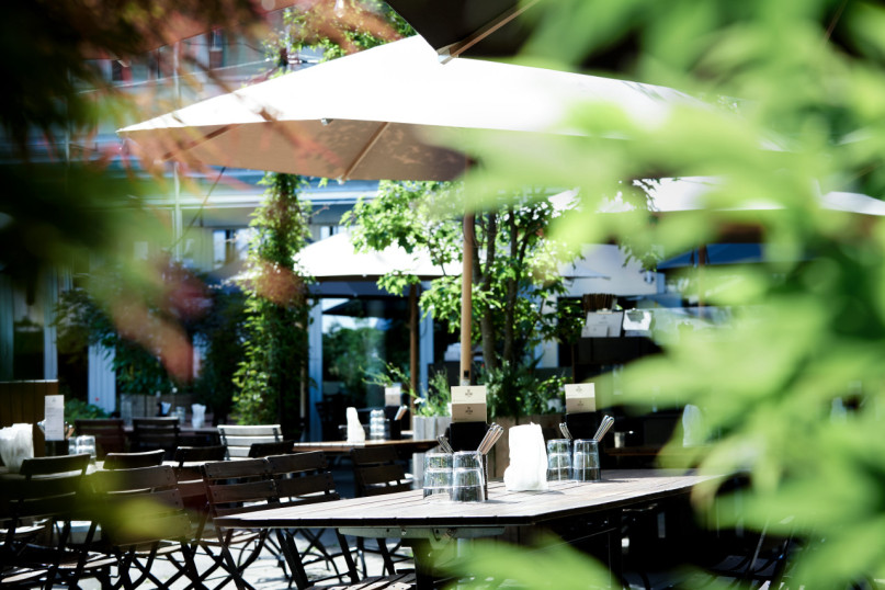 felpa74 jardín urbano comedor 1