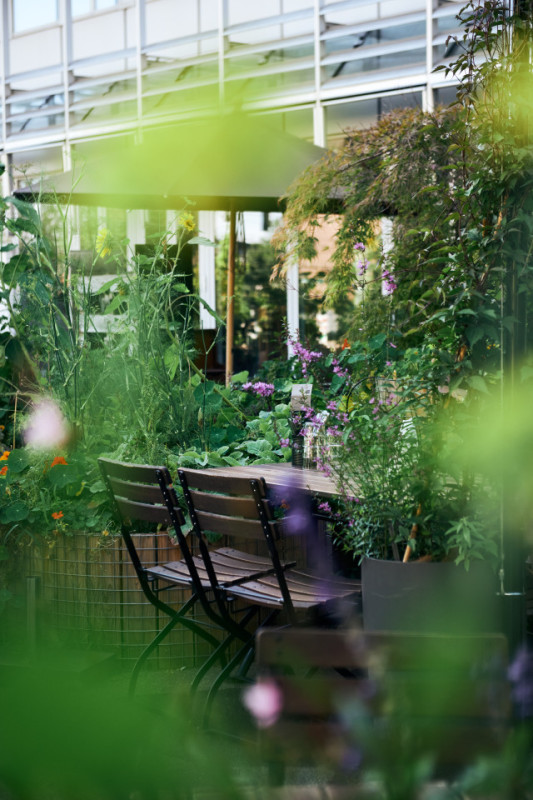 felpa74 jardín urbano comedor 5