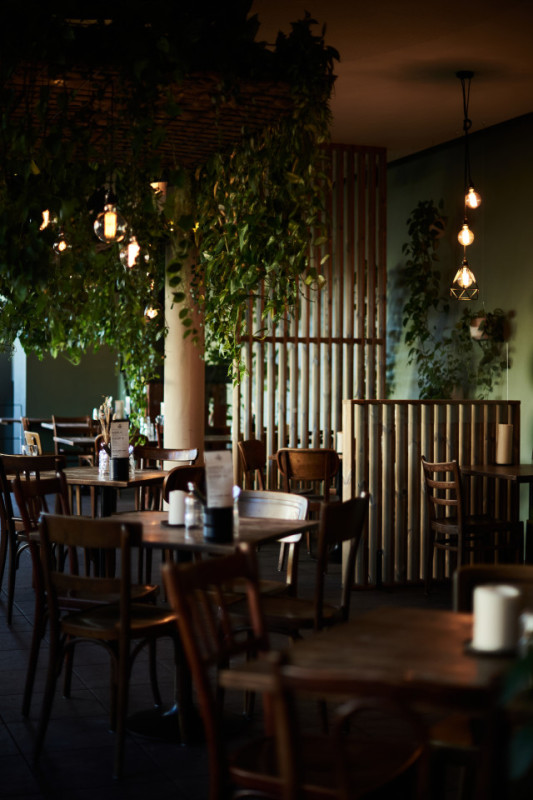 felpa74 jardín urbano comedor 6