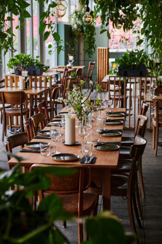 felpa74 jardín urbano comedor 9